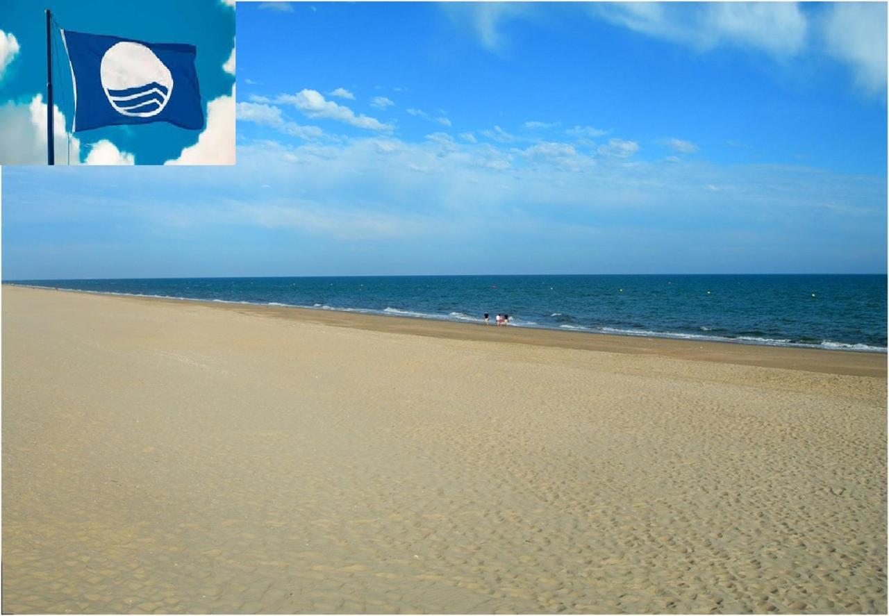 Apartamento Cerca Del Mar Oliva Exteriér fotografie